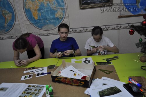 DSC_0015_новый размер
